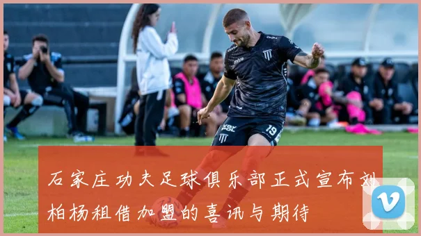 石家庄功夫足球俱乐部正式宣布刘柏杨租借加盟的喜讯与期待