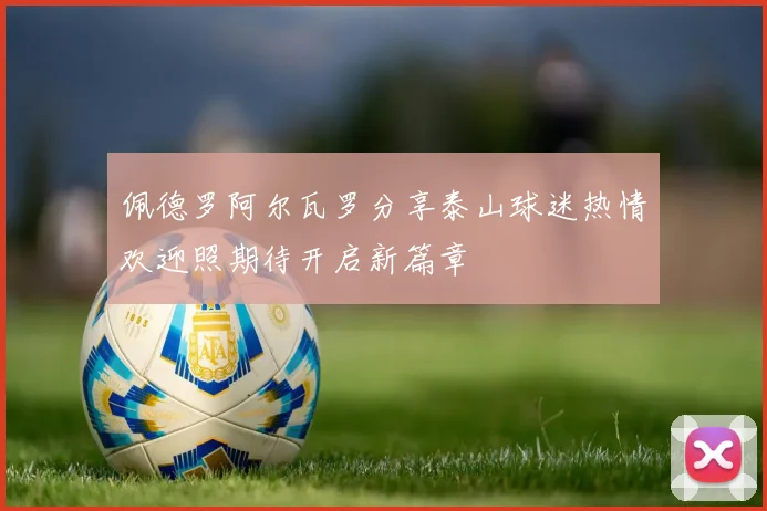 佩德罗阿尔瓦罗分享泰山球迷热情欢迎照期待开启新篇章